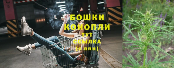PSILOCYBIN Заволжье