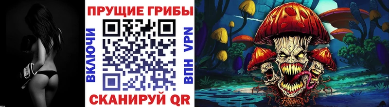 Псилоцибиновые грибы прущие грибы  Звенигово 
